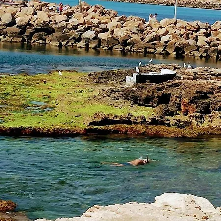 Apartamento La Marina Torrevieja